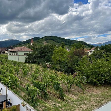 Alsacebnb - Gite 12 Personnes Dans Le Vignoble - Piscine Privee & Spa Ammerschwihr Bagian luar foto
