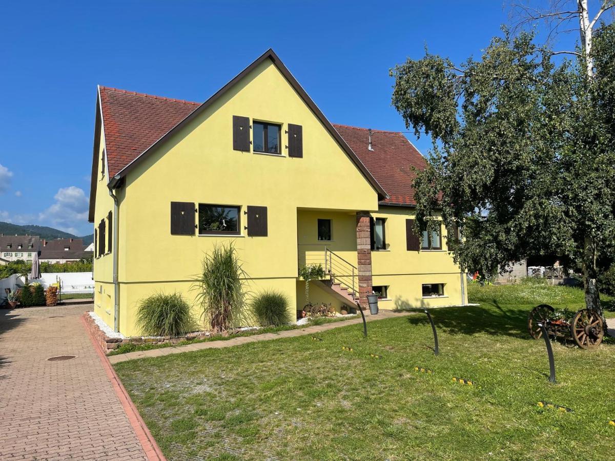 Alsacebnb - Gite 12 Personnes Dans Le Vignoble - Piscine Privee & Spa Ammerschwihr Bagian luar foto