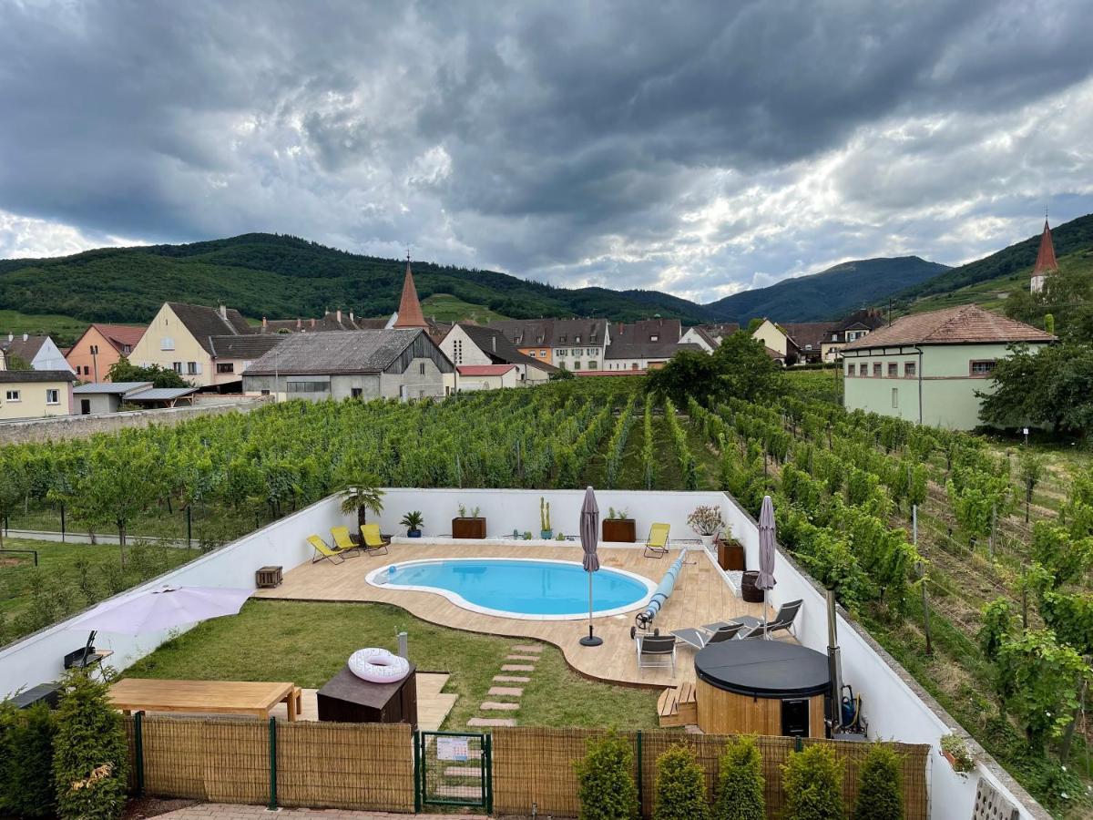 Alsacebnb - Gite 12 Personnes Dans Le Vignoble - Piscine Privee & Spa Ammerschwihr Bagian luar foto