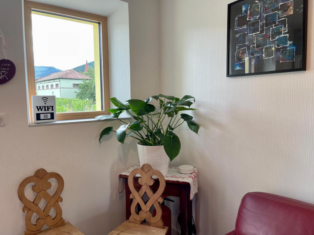 Alsacebnb - Gite 12 Personnes Dans Le Vignoble - Piscine Privee & Spa Ammerschwihr Bagian luar foto