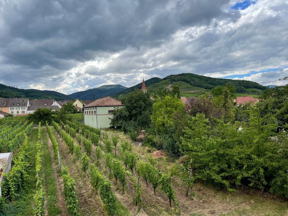 Alsacebnb - Gite 12 Personnes Dans Le Vignoble - Piscine Privee & Spa Ammerschwihr Bagian luar foto