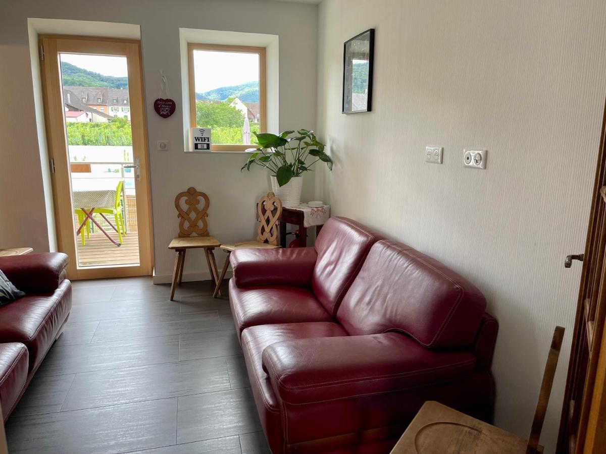 Alsacebnb - Gite 12 Personnes Dans Le Vignoble - Piscine Privee & Spa Ammerschwihr Bagian luar foto