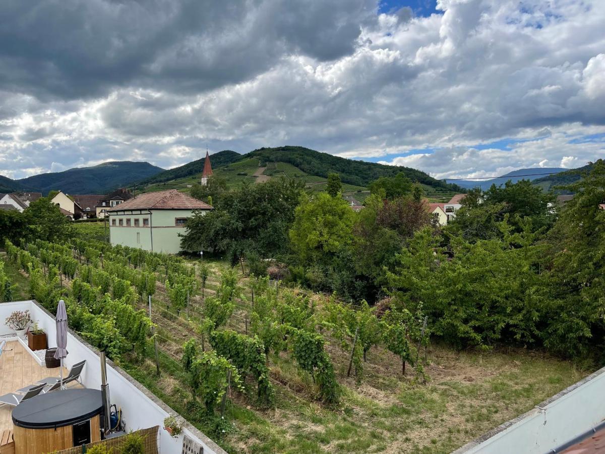 Alsacebnb - Gite 12 Personnes Dans Le Vignoble - Piscine Privee & Spa Ammerschwihr Bagian luar foto