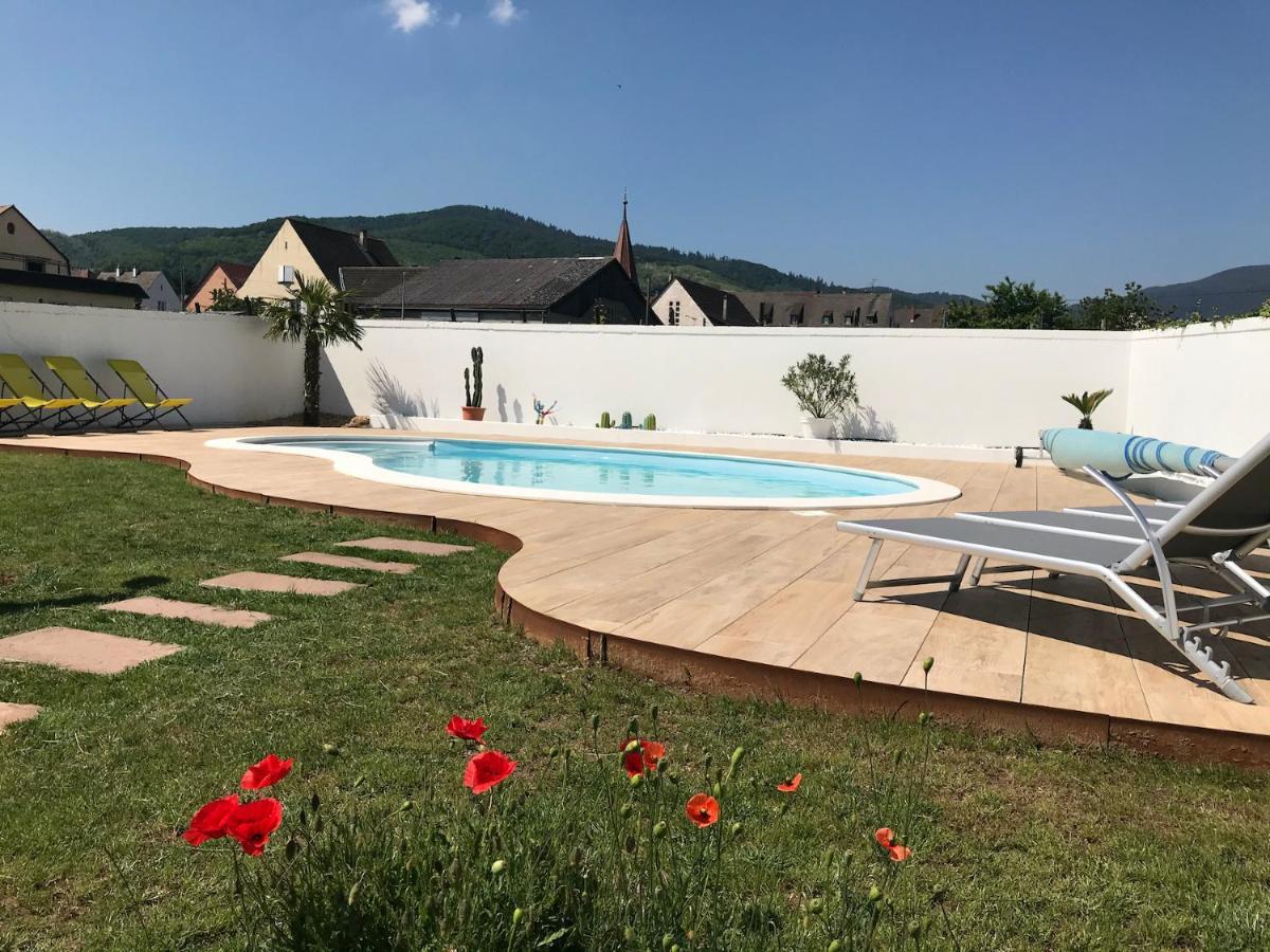 Alsacebnb - Gite 12 Personnes Dans Le Vignoble - Piscine Privee & Spa Ammerschwihr Bagian luar foto